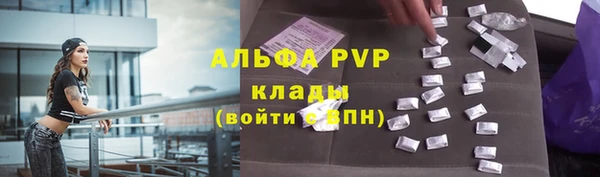apvp Инта