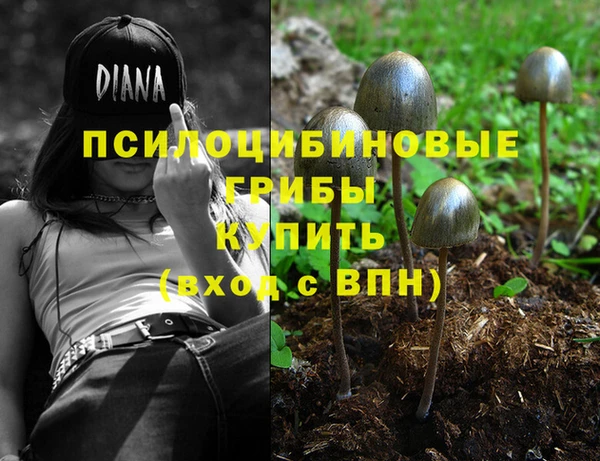 apvp Инта