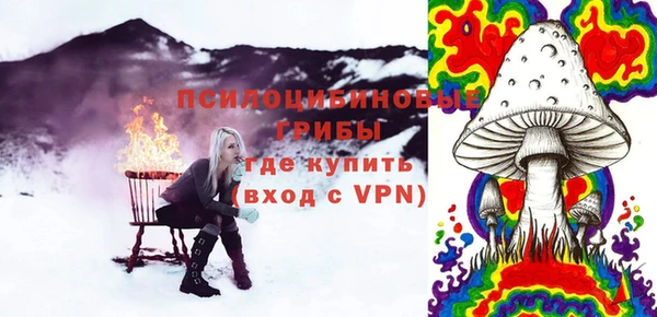 apvp Инта