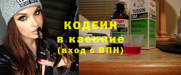 apvp Инта