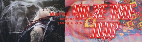 apvp Инта