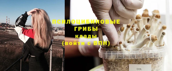 бутират Инсар