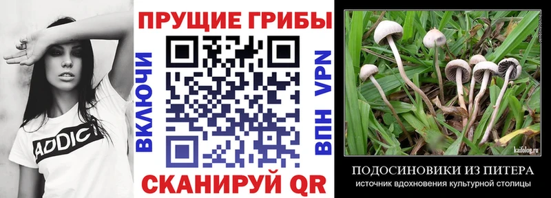 Купить закладки Рыбинск Галлюциногенные грибы Cubensis